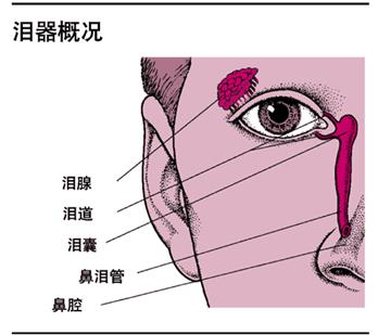 泪道阻塞的部位及治疗方法
