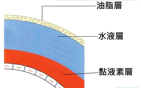 自测干眼症，你中枪了吗？